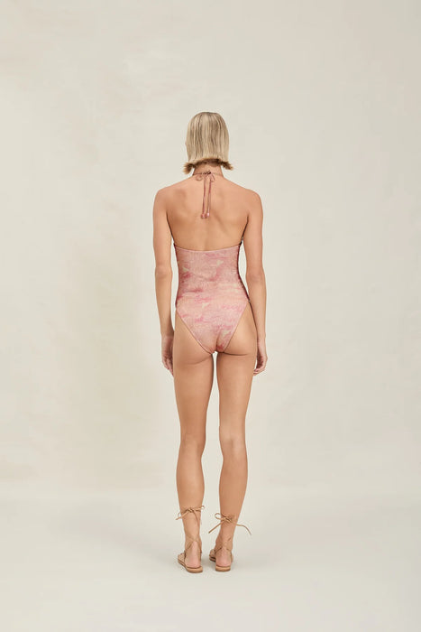 DARCY CANYON ROSE ONE PIECE