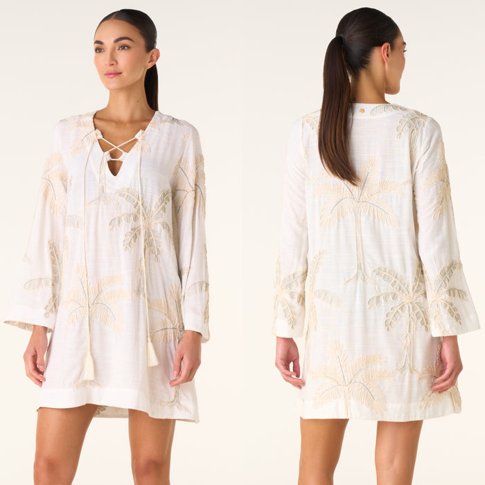 CERE AMAZONIA COVERUP